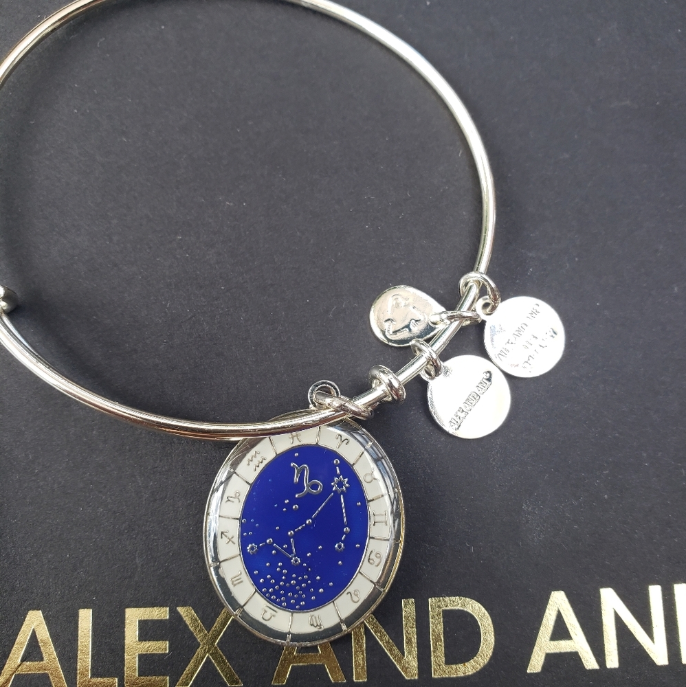 Alex and Ani Capricorn charm bracelet